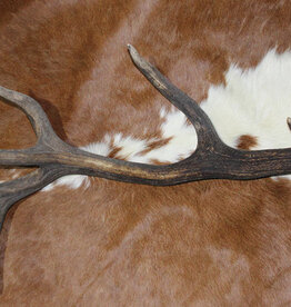 Grote EDELHERT GEWEI AFWERP STANG - 3 kg - 93 cm  - ref. F