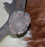 Grote EDELHERT GEWEI AFWERP STANG - 3 kg - 93 cm