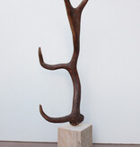 DAMHERT GEWEI op houten sokkel