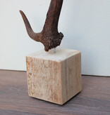 DAMHERT GEWEI op houten sokkel