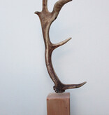 DAMHERT GEWEI op houten sokkel