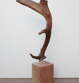 DAMHERT GEWEI op houten sokkel