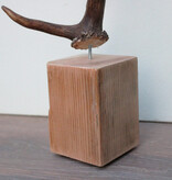 DAMHERT GEWEI op houten sokkel