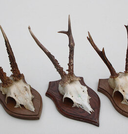 3 x REE GEWEI op houten schild -  set C