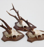 3 x REE GEWEI op houten schild  - met kaakdeeltjes