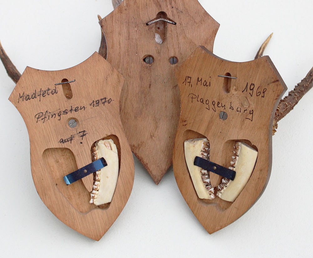 3 x REE GEWEI op houten schild  - met kaakdeeltjes