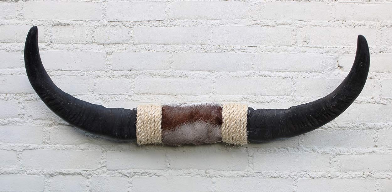 Texas style BULLBAR- 82 cm - waterbuffel hoorns afgewerkt met vel en sisaltouw