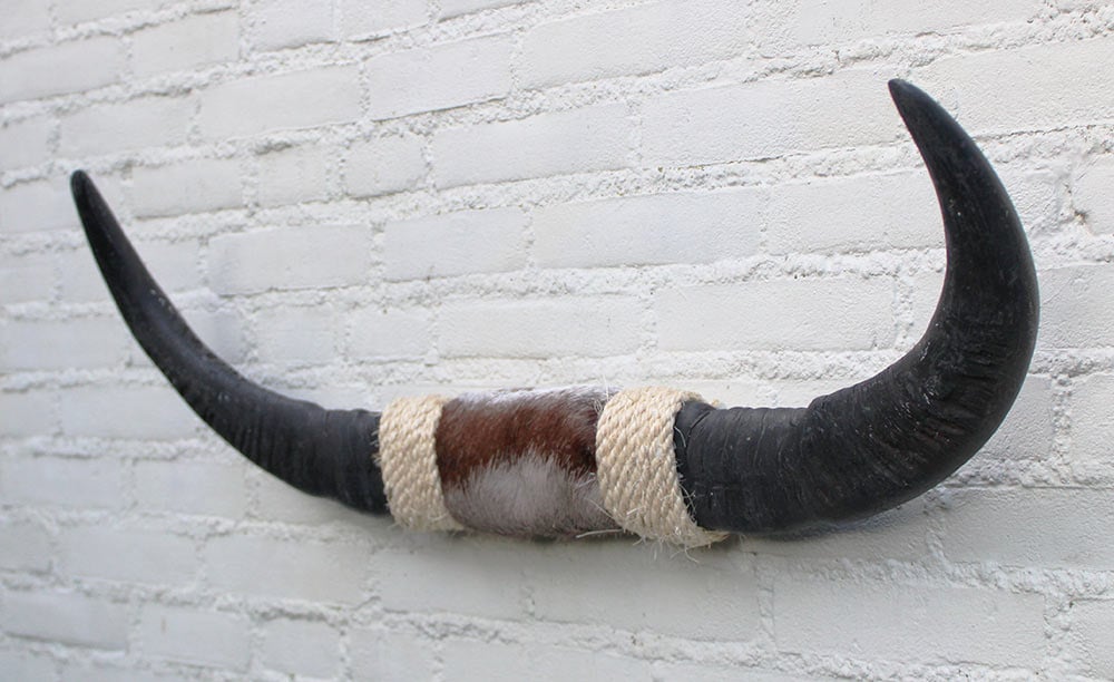 Texas style BULLBAR- 82 cm - waterbuffel hoorns afgewerkt met vel en sisaltouw