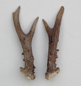 REE GEWEI PAAR 16 cm - Ref. L