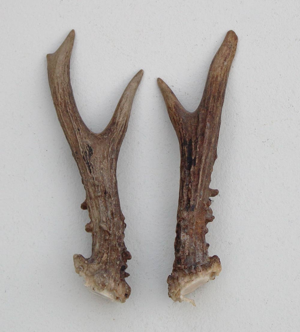 REE GEWEI PAAR 16 cm