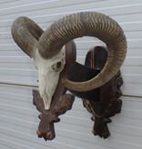Schedel MOEFLON RAM op dubbel houten schild - Hongarije