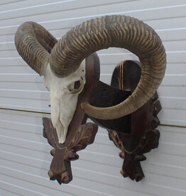 Schedel MOEFLON RAM - ref. HER3