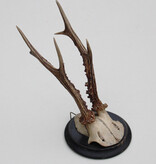 Antiek zesender REE GEWEI op rond zwart houten schild  - rond 1910