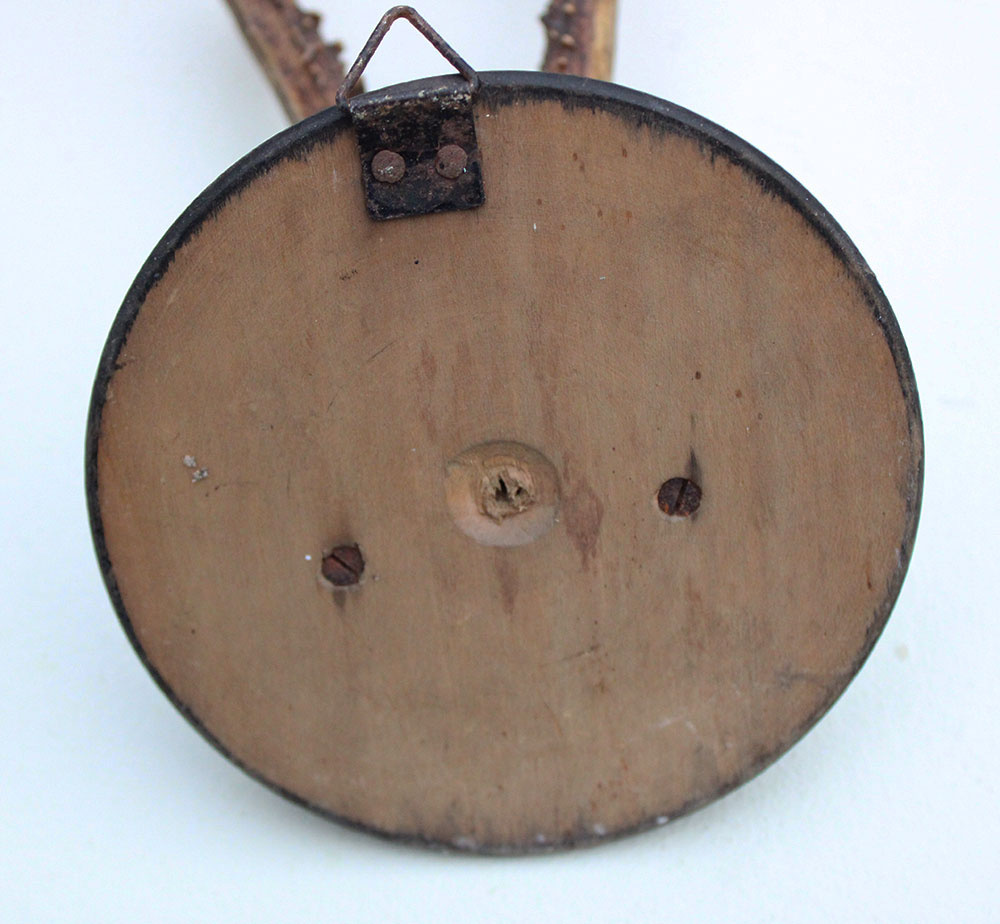 Antiek zesender REE GEWEI op rond zwart houten schild  - rond 1910