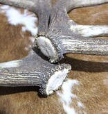 Groot paar EDELHERT GEWEI  STANGEN - 10-ender -105 cm - 4 kg