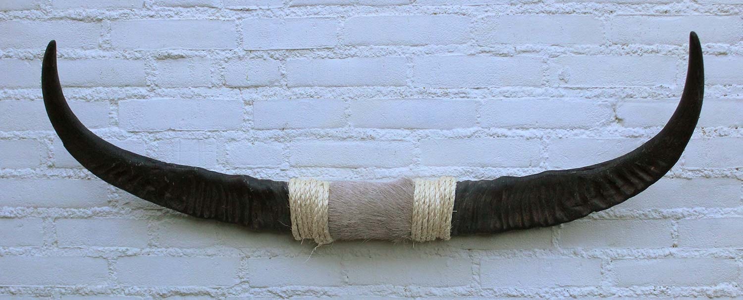 Texas style BULLBAR- 96 cm - waterbuffel hoorns afgewerkt met vel en sisaltouw