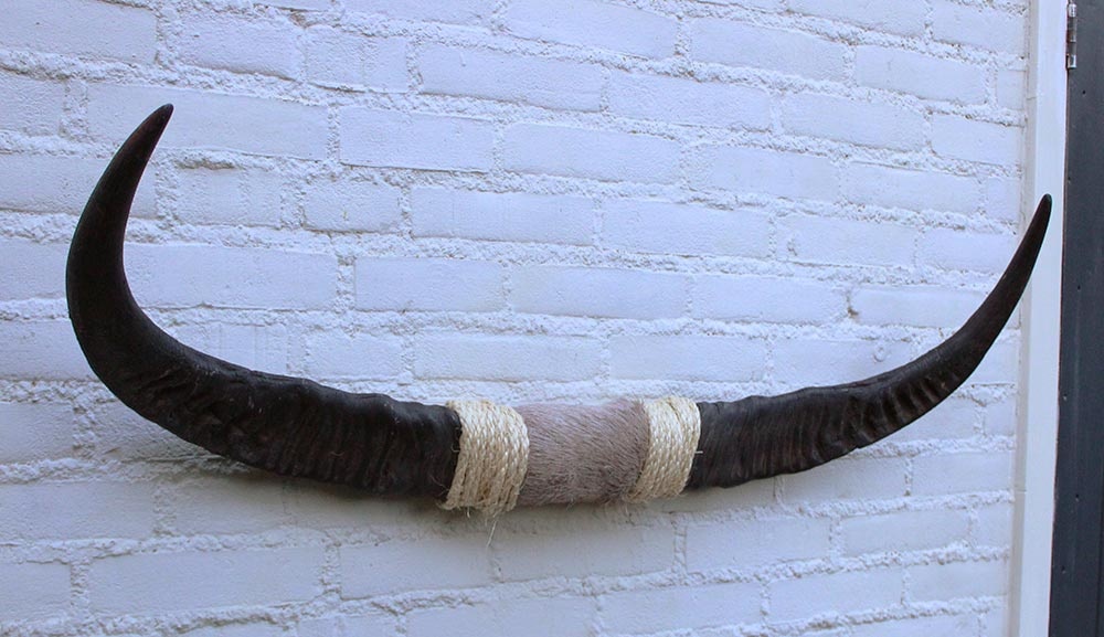 Texas style BULLBAR- 96 cm - waterbuffel hoorns afgewerkt met vel en sisaltouw