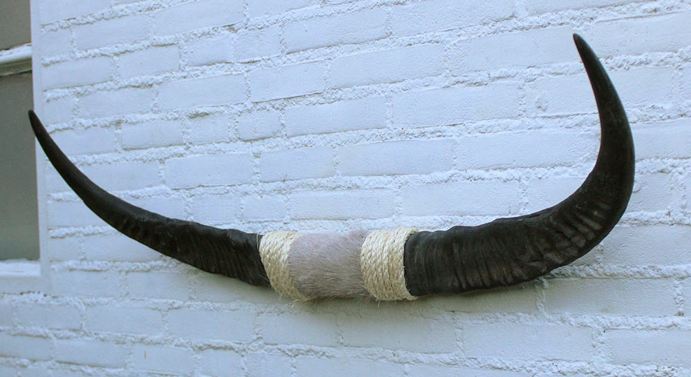Texas style BULLBAR- 96 cm - waterbuffel hoorns afgewerkt met vel en sisaltouw