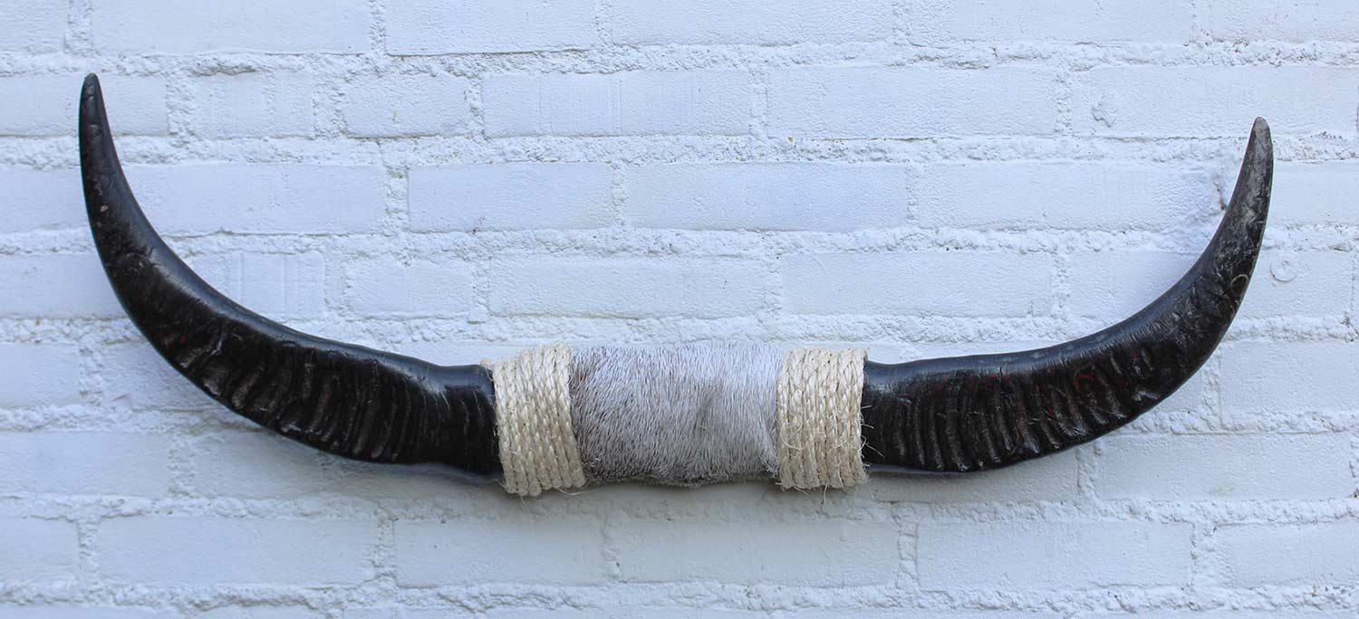 Texas style BULLBAR- 81 cm - waterbuffel hoorns afgewerkt met vel en sisaltouw