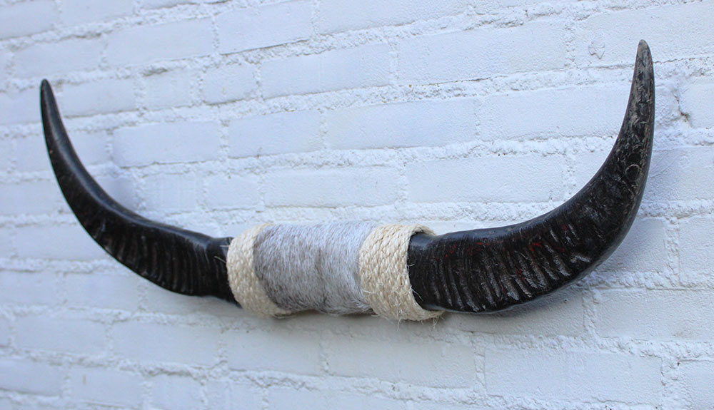 Texas style BULLBAR- 81 cm - waterbuffel hoorns afgewerkt met vel en sisaltouw