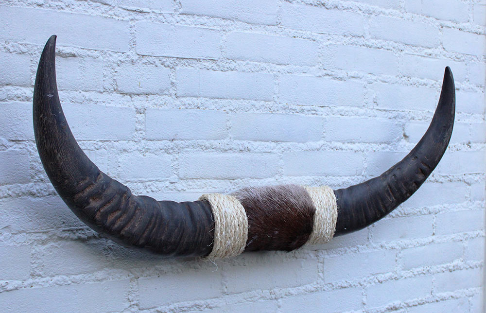Texas style BULLBAR- 80 cm - waterbuffel hoorns afgewerkt met vel en sisaltouw
