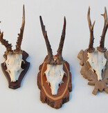 3 x groot REE GEWEI op verschillende houten schildjes