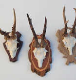 3 x groot REE GEWEI op verschillende houten schildjes