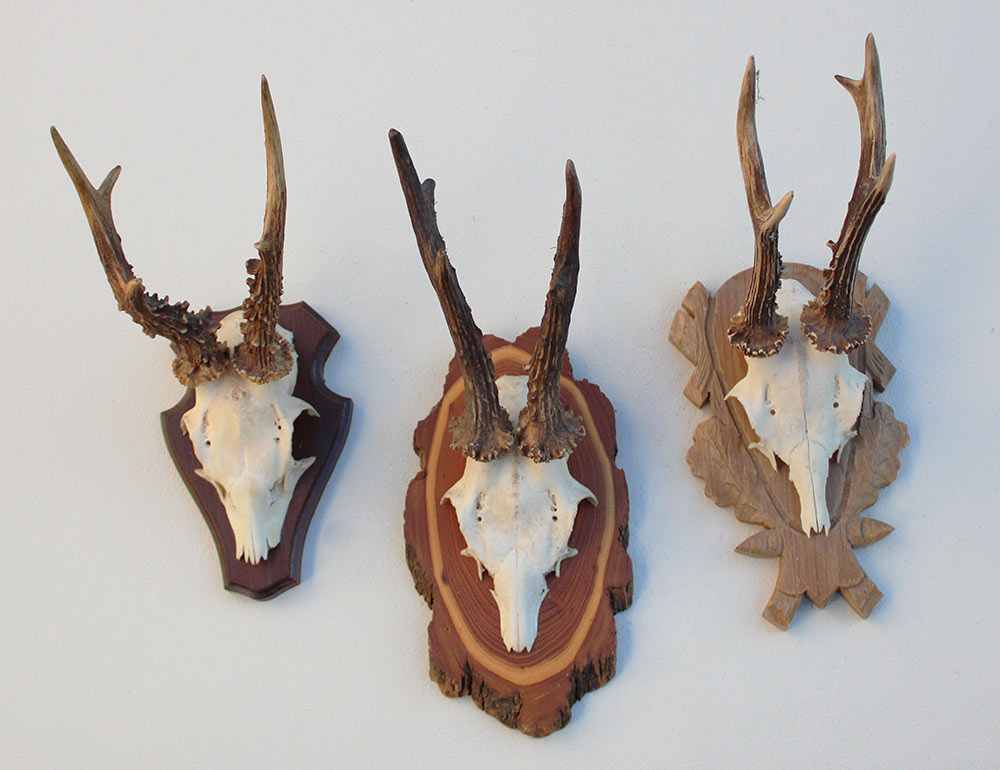 3 x groot REE GEWEI op verschillende houten schildjes