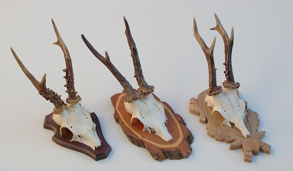 3 x groot REE GEWEI op verschillende houten schildjes