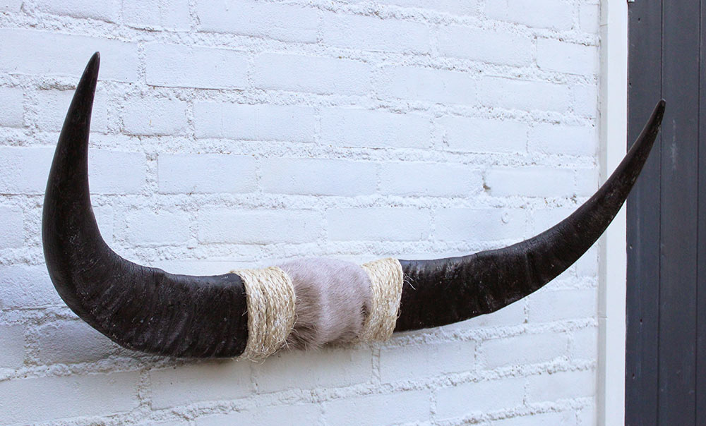 Texas style BULLBAR- 90 cm - waterbuffel hoorns afgewerkt met vel en sisaltouw