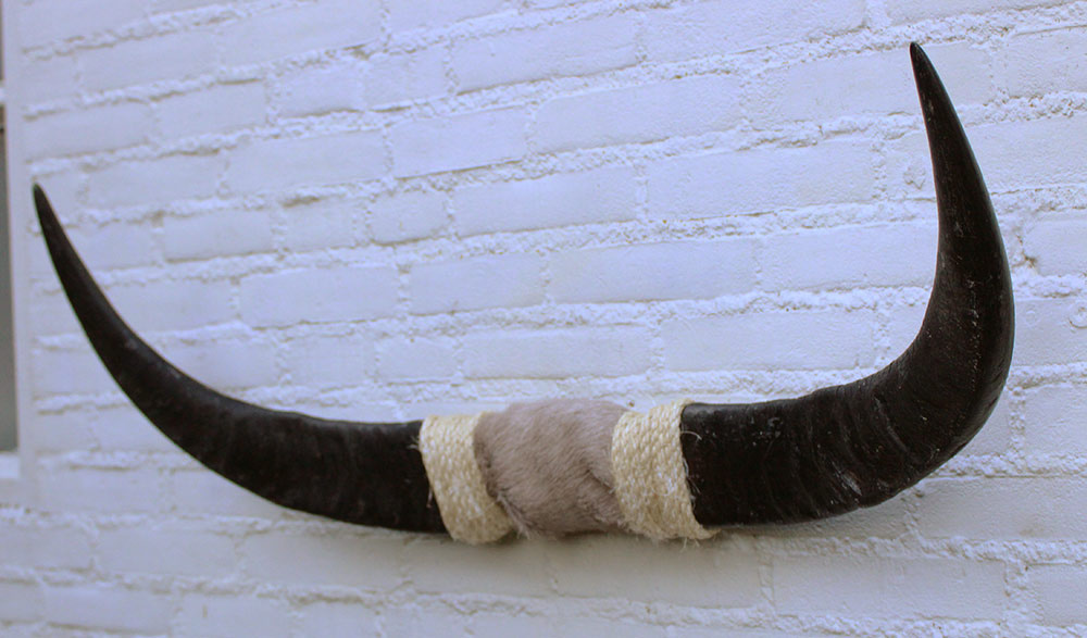 Texas style BULLBAR- 90 cm - waterbuffel hoorns afgewerkt met vel en sisaltouw