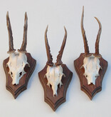 3 x REE GEWEI op eikenhouten schild