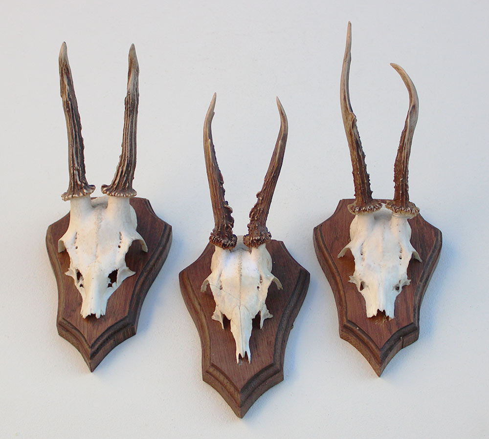 3 x REE GEWEI op eikenhouten schild