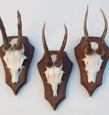 3 x REE GEWEI op eikenhouten schild