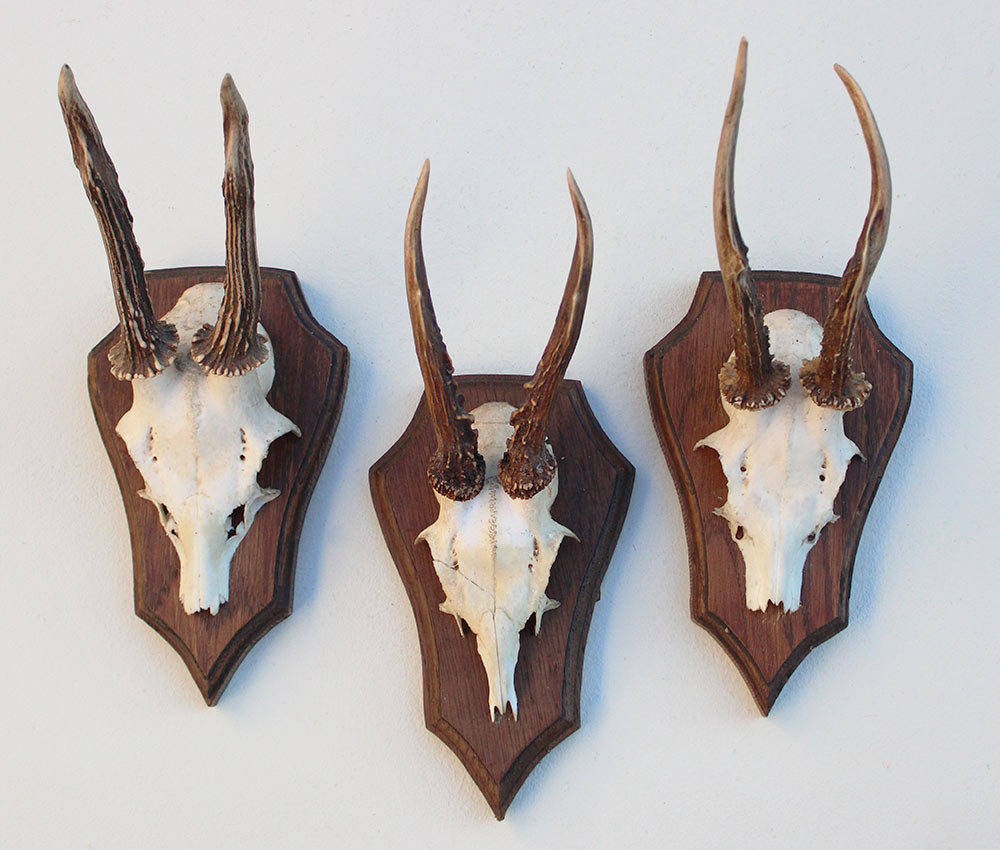 3 x REE GEWEI op eikenhouten schild