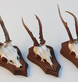 3 x REE GEWEI op eikenhouten schild