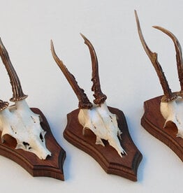 3 x REE GEWEI op eikenhouten schild -  set P