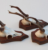 3 x REE GEWEI op eikenhouten schild