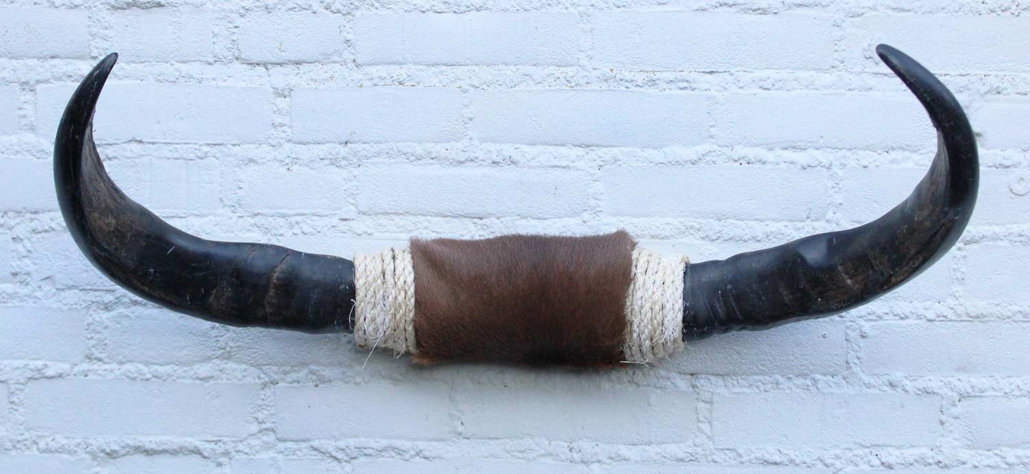 Texas style BULLBAR- 70 cm - waterbuffel hoorns afgewerkt met vel en sisaltouw