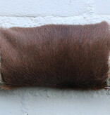 Texas style BULLBAR- 70 cm - waterbuffel hoorns afgewerkt met vel en sisaltouw