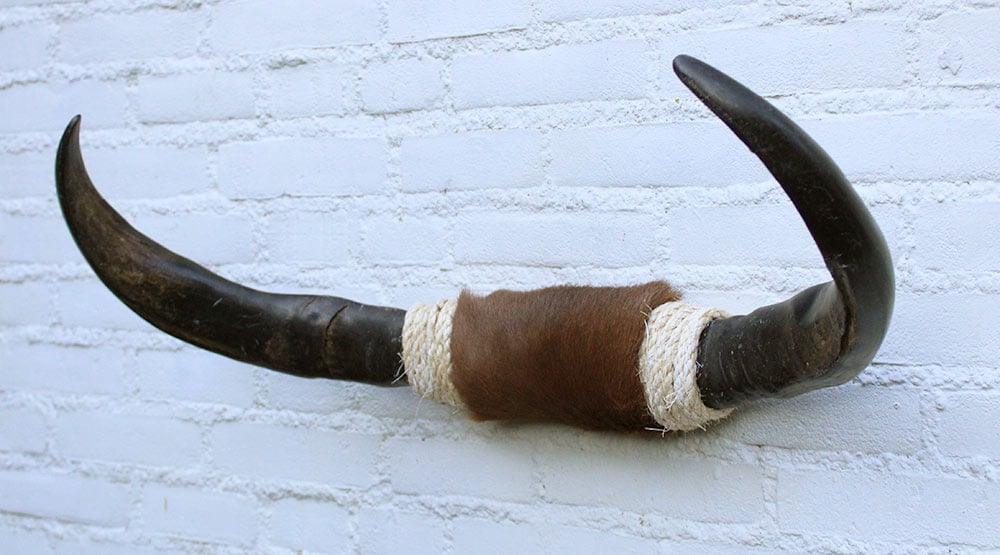 Texas style BULLBAR- 70 cm - waterbuffel hoorns afgewerkt met vel en sisaltouw