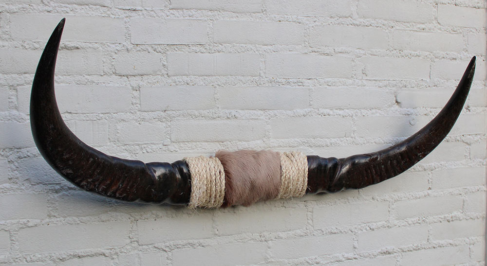Texas style BULLBAR- 87 cm - waterbuffel hoorns afgewerkt met vel en sisaltouw
