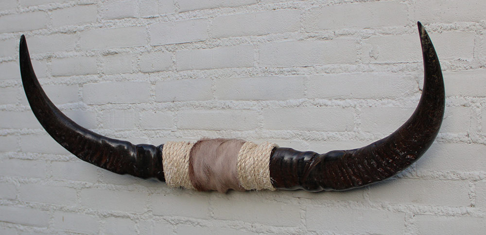 Texas style BULLBAR- 87 cm - waterbuffel hoorns afgewerkt met vel en sisaltouw