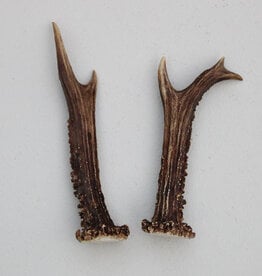 REE GEWEI PAAR 15-18 cm - Ref. A