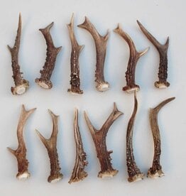 12 stangetjes REE GEWEI 14-17 cm - Ref. A