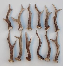 12 stangetjes REE GEWEI 18-21 cm - Ref. B