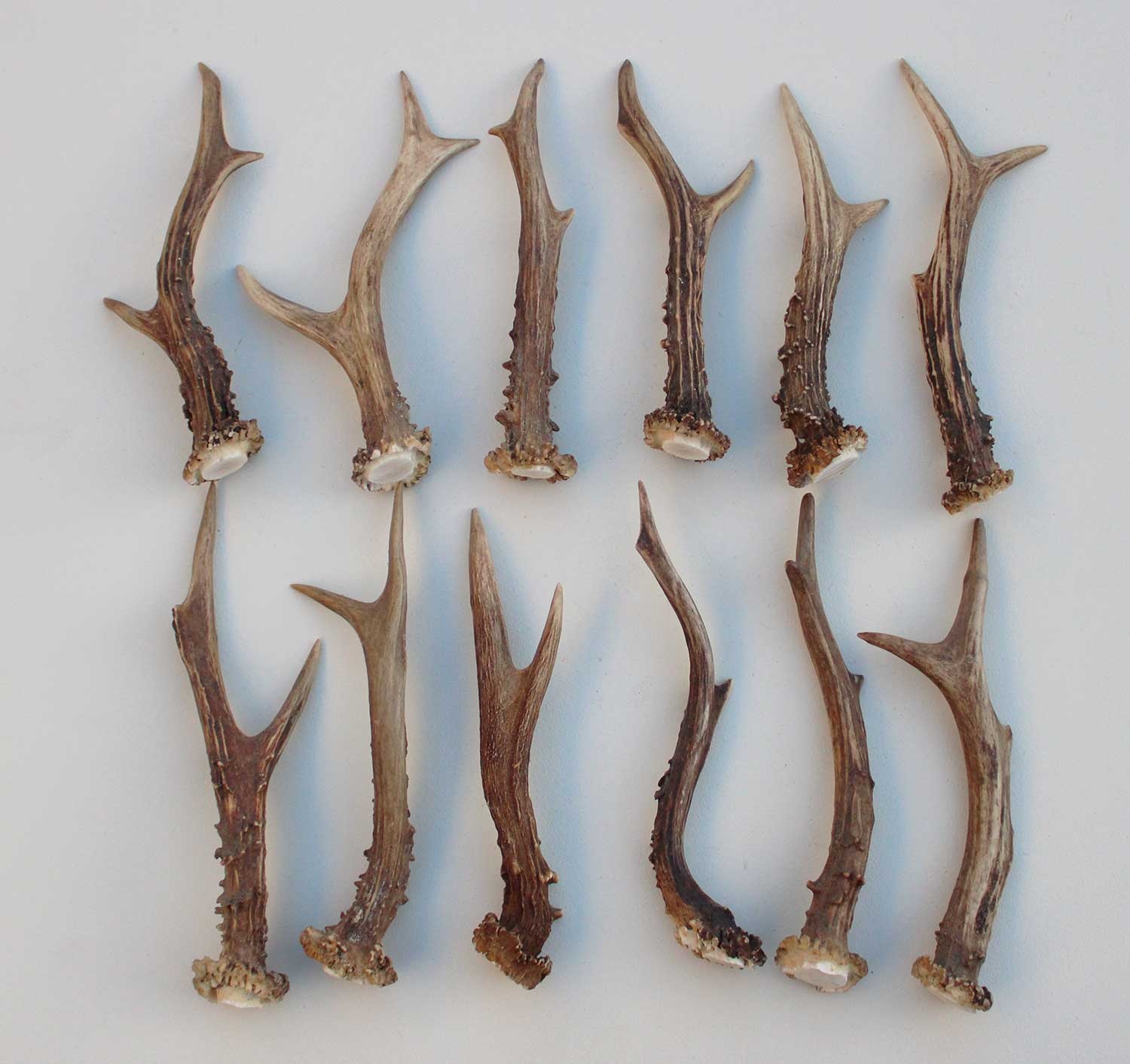 12 stangetjes REE GEWEI 18-21 cm