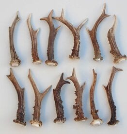 12 stangetjes REE GEWEI 14-18 cm - Ref. F