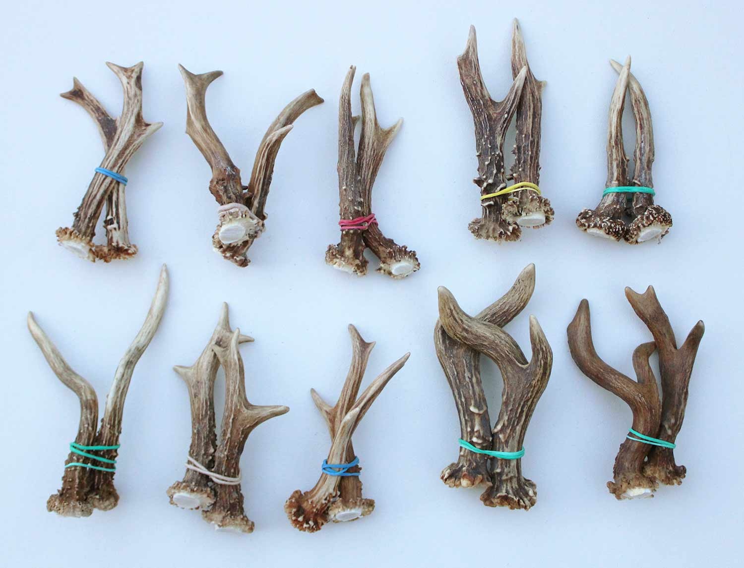 10 paar stangetjes REE GEWEI 11-15 cm