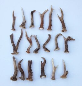 18 stangetjes REE GEWEI 9-16 cm - Ref. i